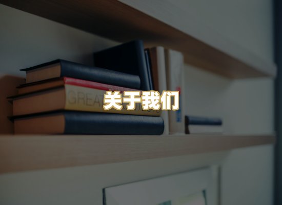 关于我们
